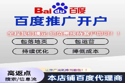 SEM公司案例分析：搜索引擎优化策略与执行